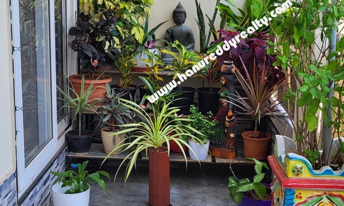 3 BHK Flat for Rent in Muralinagar